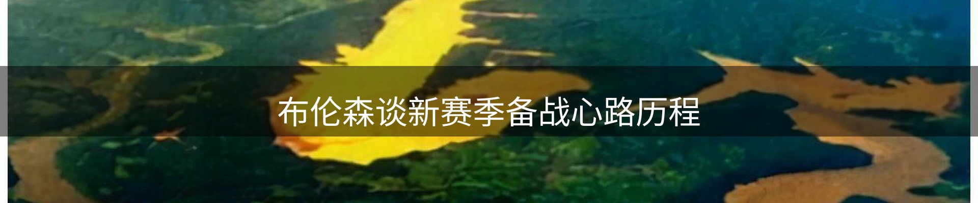 内页banner